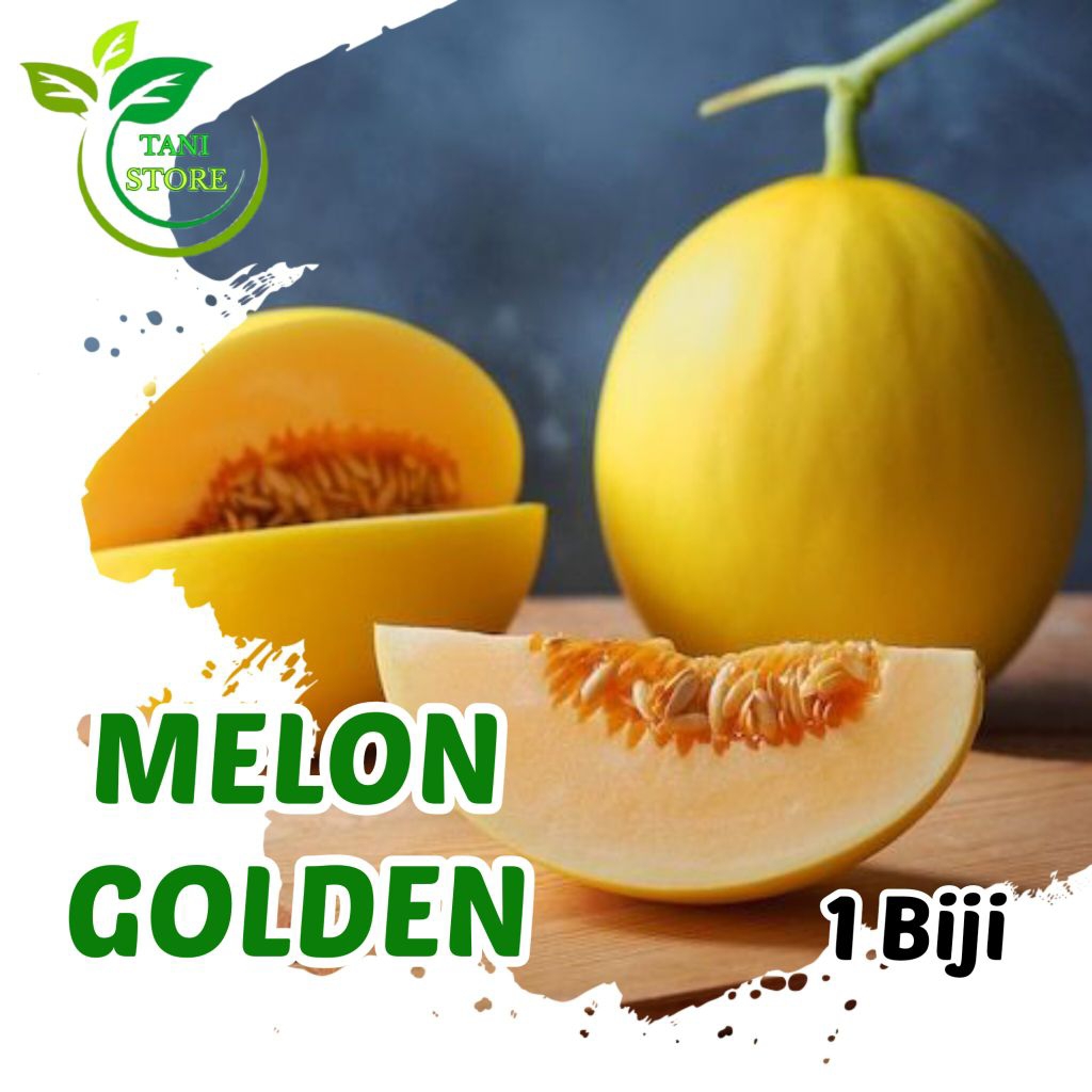 Bibit Benih Melon Golden F1 Isi 1 Biji