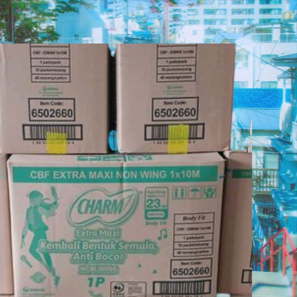 diskon murah Pembalut Charm body fit 1 dus 48 renteng