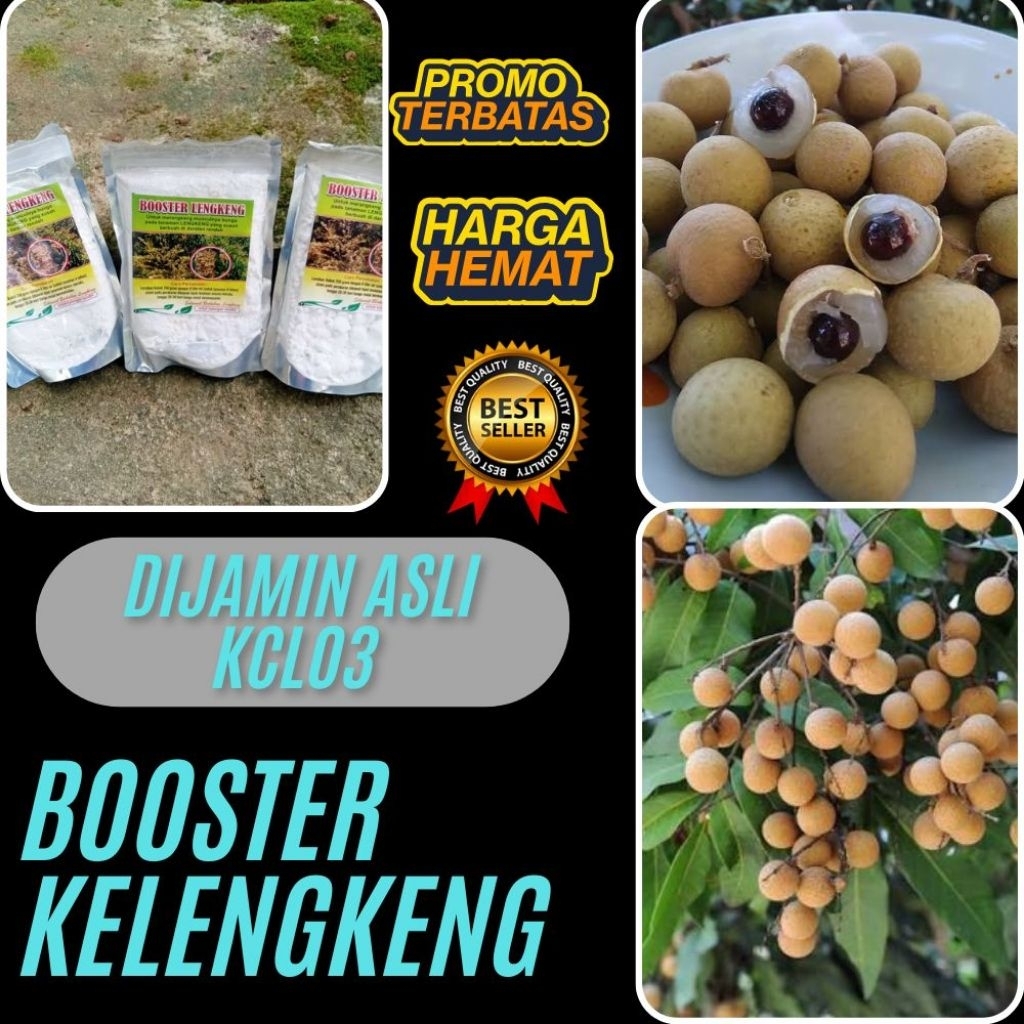 Booster Kelengkeng Terbaik, Booster Kelengkeng Terdekat