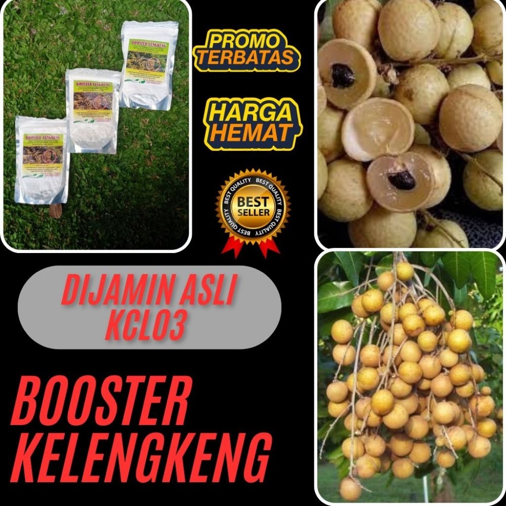 Booster Kelengkeng Yang Bagus, Booster Kelengkeng 1Kg