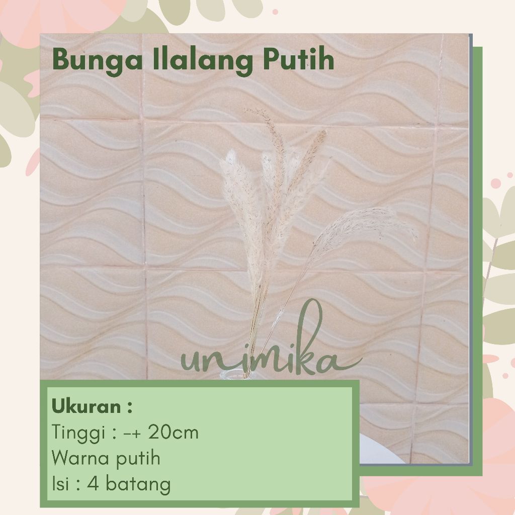 Bunga Ilalang | Ilalang natural | Daun & Bunga Kering | Murah di Bali