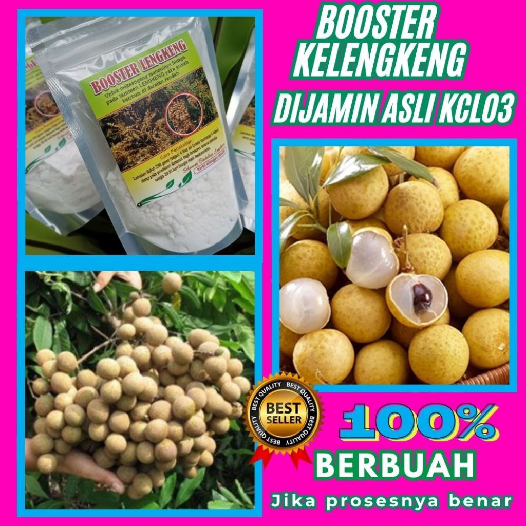 Booster Kelengkeng Buat Kelengkeng, Booster Kelengkeng Cair, Booster Kelengkeng Itoh