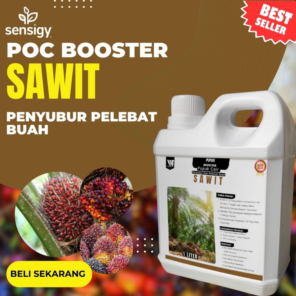 Pupuk Sawit Perangsang Buah – Rahasia Panen Sawit Melimpah, Buah Besar, dan Tandan Padat Berat