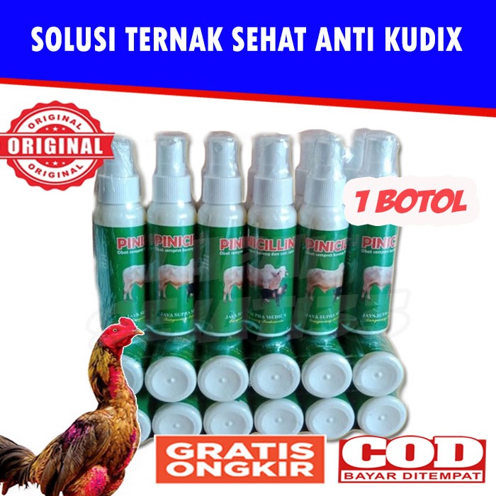 Pinicilin Pinisilin Spray Obat Koreng Luka Untuk Hewan Ternak Sapi Kambing Kerbau domba