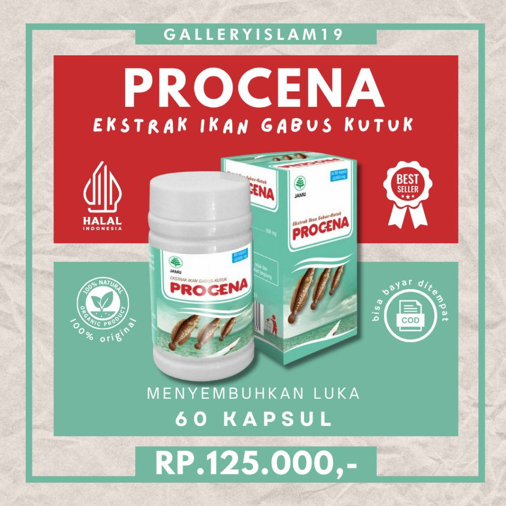 [SELALU READY] Procena Ekstrak Ikan Gabus Sari Kutuk 60 Kapsul Obat Ampuh Penyembuhan Luka Albumin