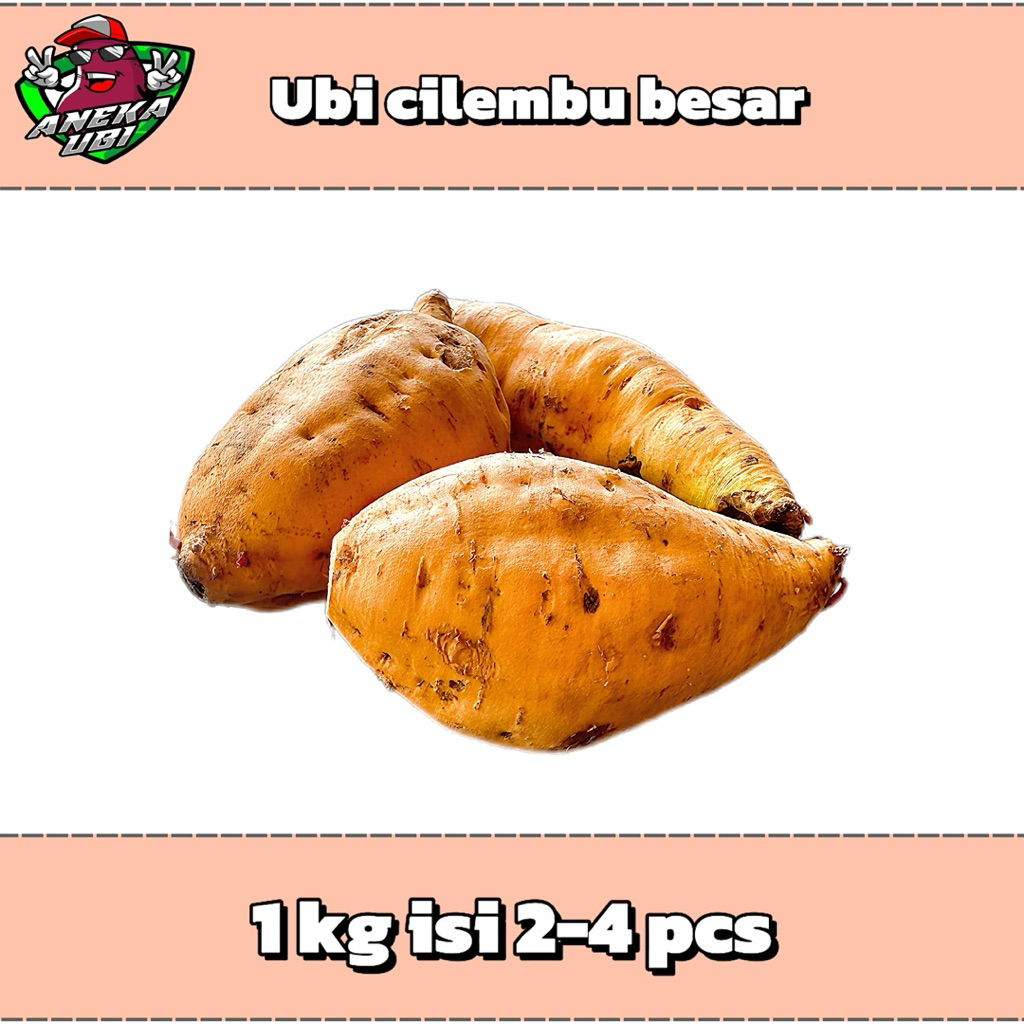 ubi cilembu madu || ubi cilembu madu / ubi madu sumber karbohidrat yang baik/ ubi madu  1kg (mentah)
