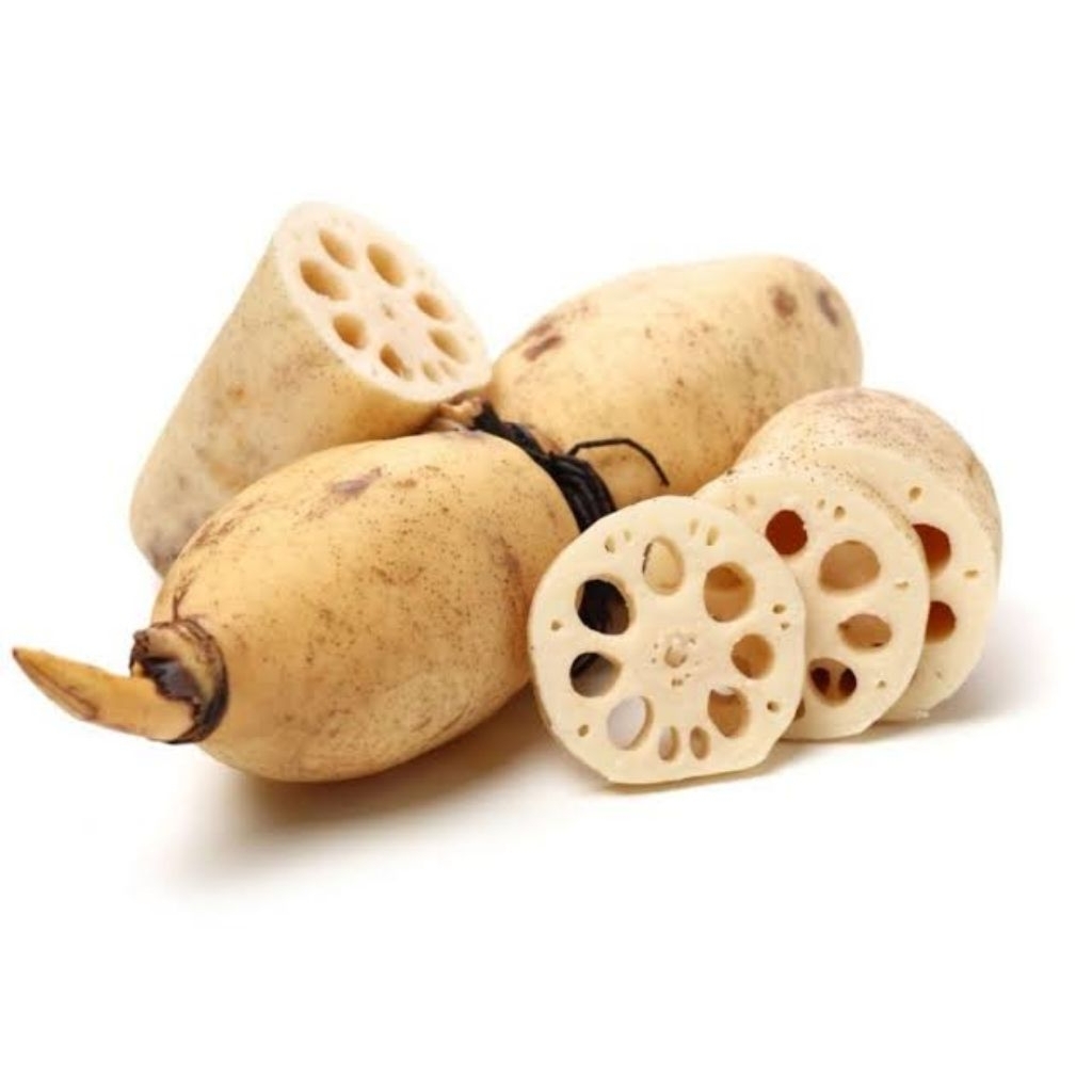 akar teratai / lotus root