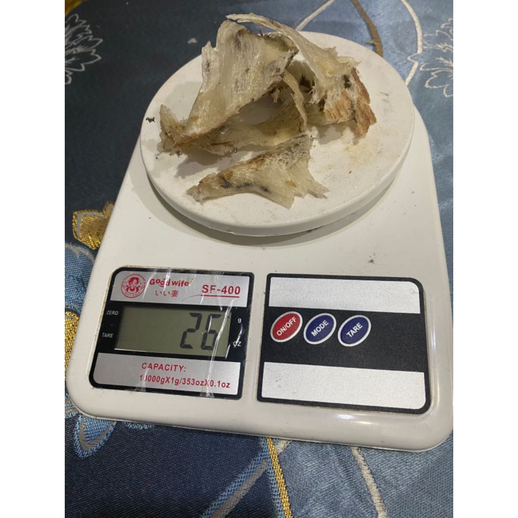 Sarang Walet Kotor Asli Kalimantan