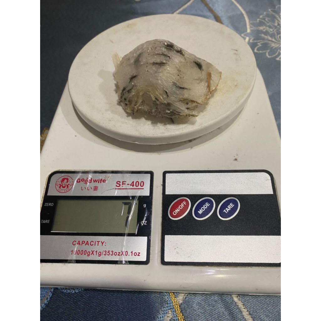 Sarang Walet Kotor Asli Kalimantan