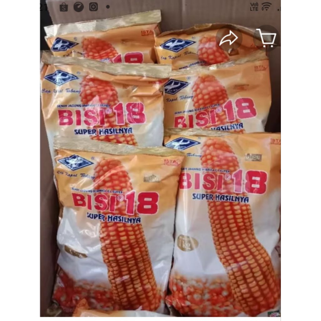 BISI 18/benih jagung bisi 18/bisi 18 kemasan 2 kg/asli ori/benih jagung /cap kapal terbang