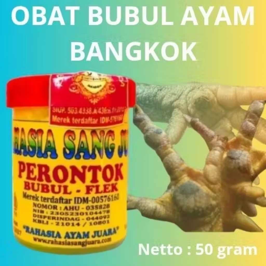 OBAT BUBUL AYAM BANGKOK ADUAN AMPUH