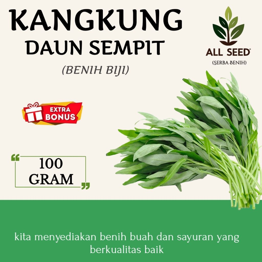 ( 100 gram ) Benih kangkung daun sempit | bibit biji kangkung | kangkung daun sempit | kangkung dara