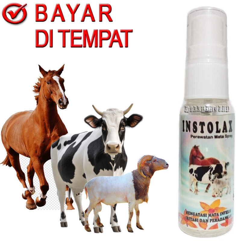 INSTOLAX Spray Obat Mata Sapi Kambing Sakit Infeksi Bengkak Merah