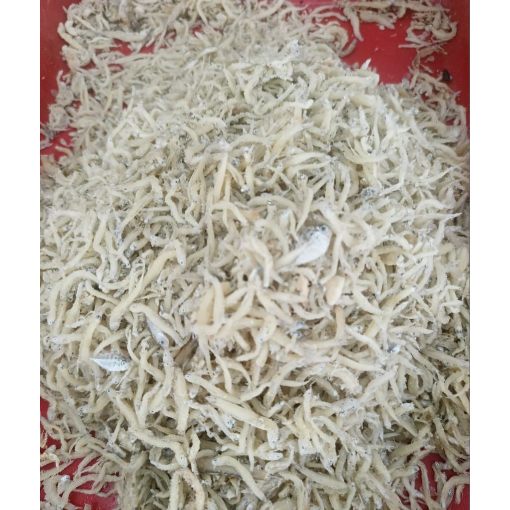 Ikan Asin Teri Nasi Tawar/Teri Medan isi 100gr