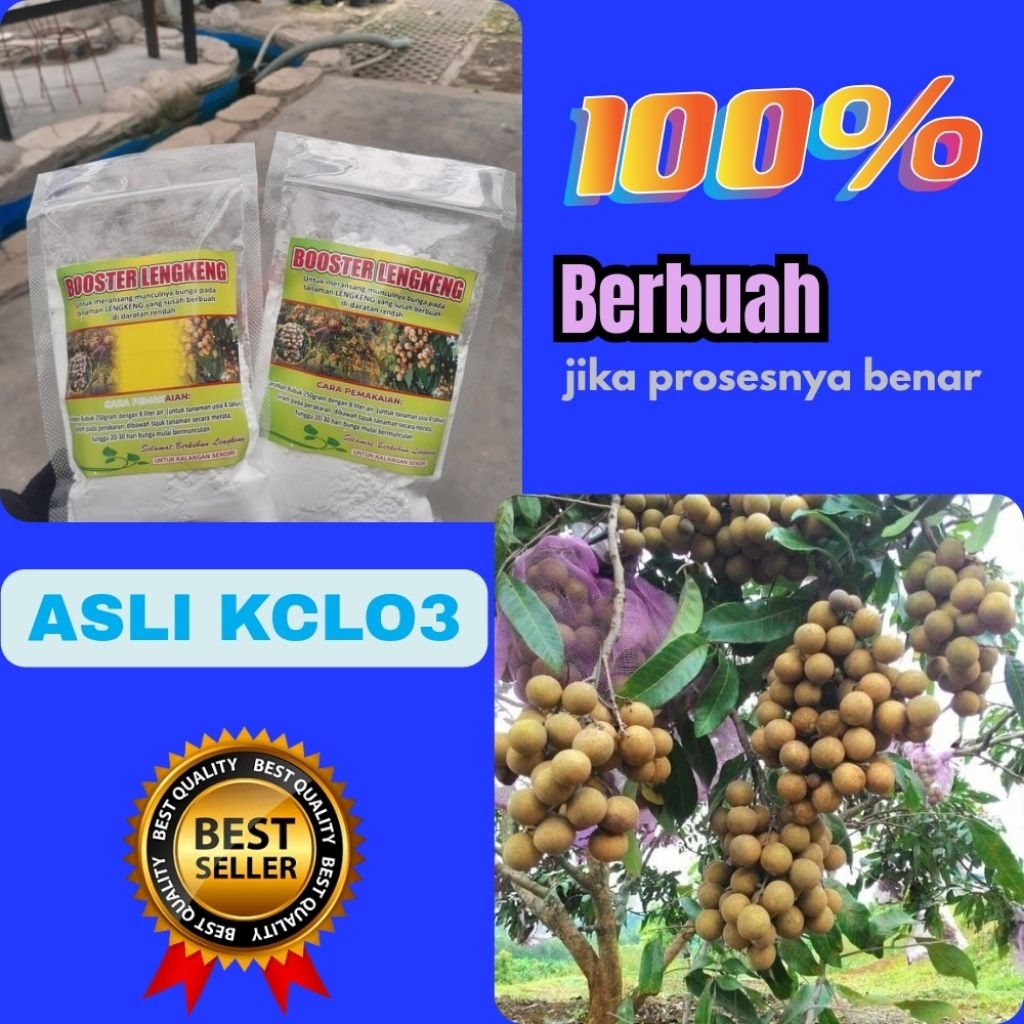Booster Kelengkeng Murni 1 Kg, Booster Kelengkeng Kcl, Booster Kelengkeng Kclo3 Terdekat