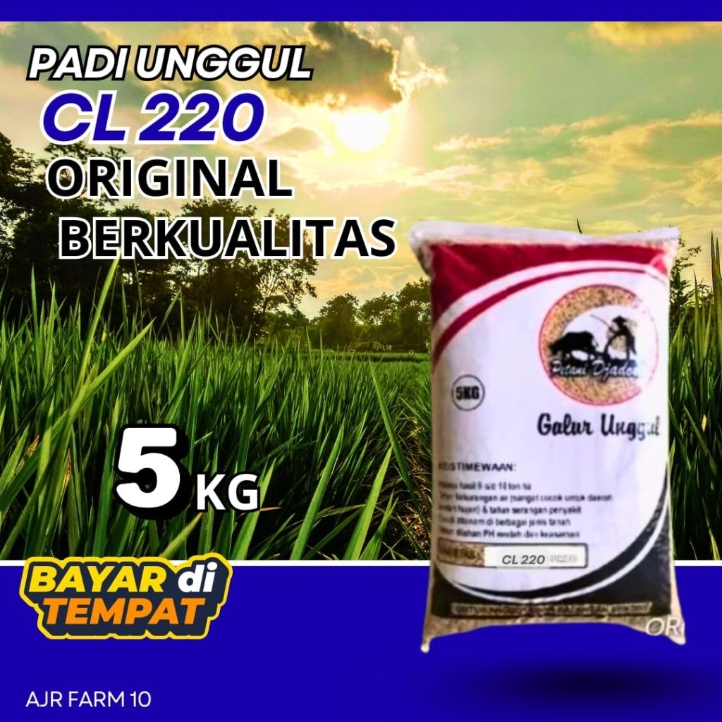 benih padi unggul CL 220 kemasan 5kg