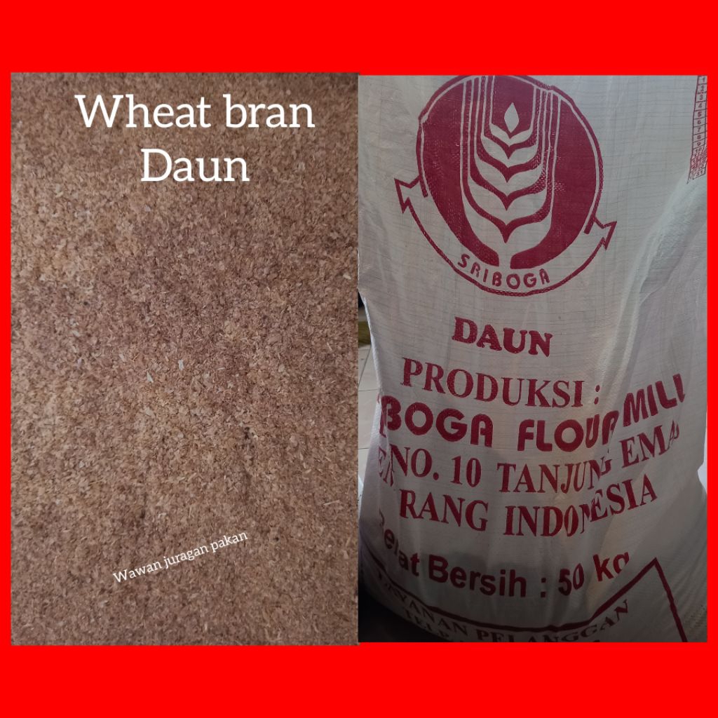 Wheat Bran Daun 1kg / Bran Sapi / Bran Kambing