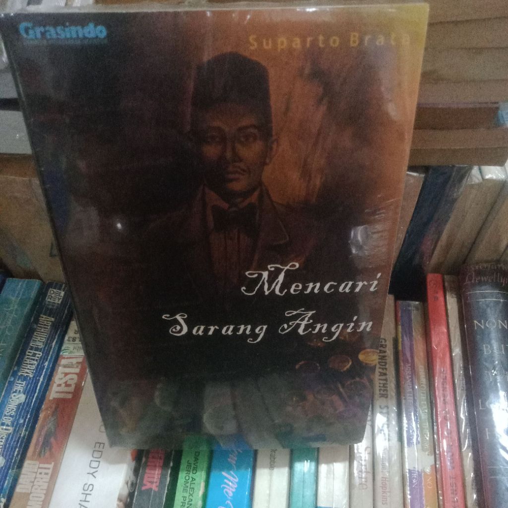 mencari sarang angin by Suparto brata