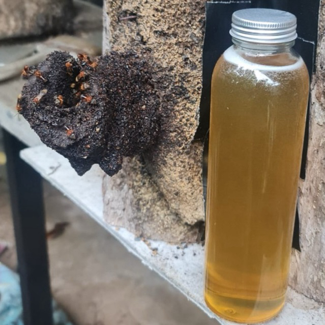 MADU KELULUT TORASIKA DAN TRIGONA ITAMA (SEKUMPUL) ASLI 100% TANPA CAMPURAN APAPUN