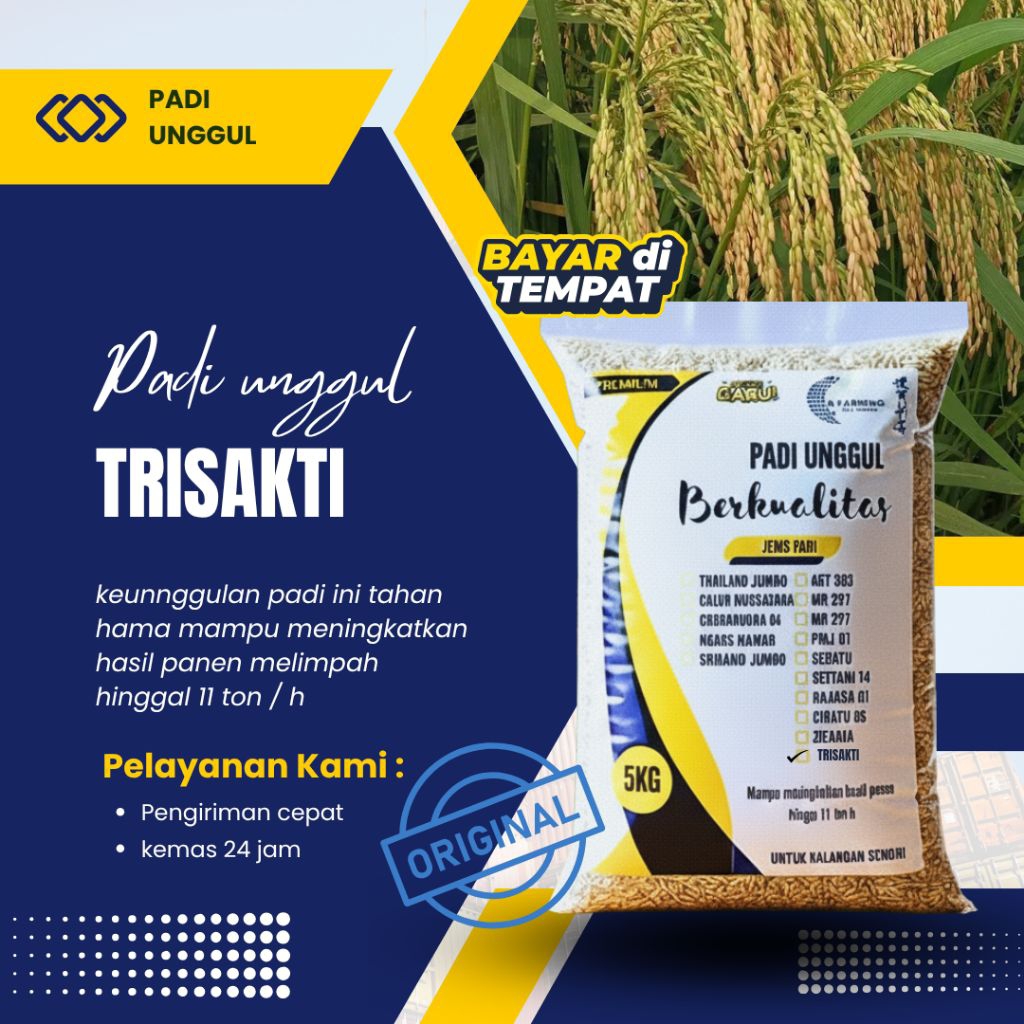 BENIH PADI GENJAH TRISAKTI 5kg