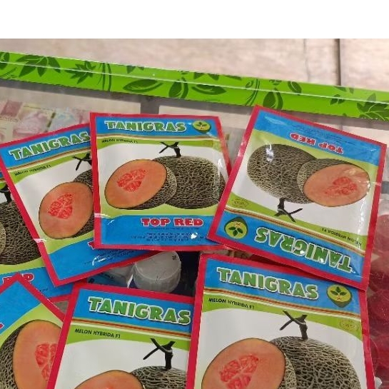 Benih Bibit Melon Top Red F1 isi 500 Biji Kadaluarsa 2026 Terbaru