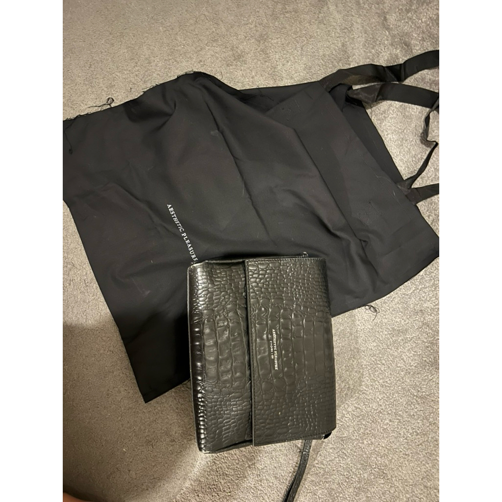 Aesthetic Pleasure Mini Cassel Bag