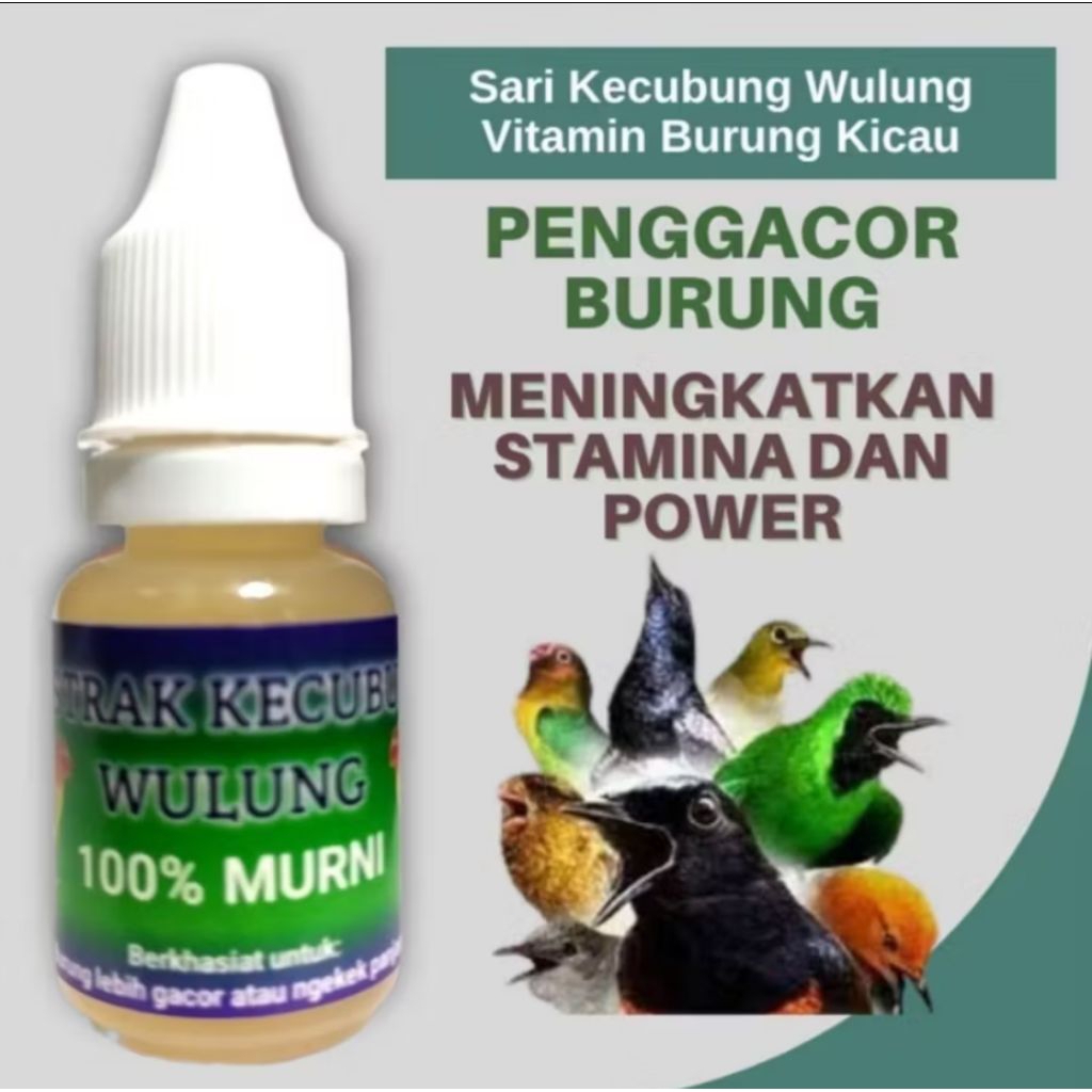 Sari Kecubung Wulung untuk vitamin Burung 100% Original