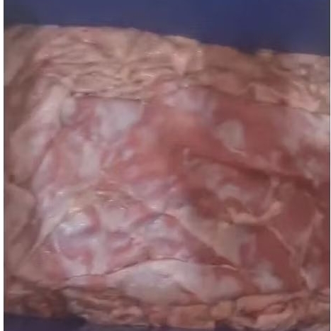 TETELAN KOYOR SAPI LOKAL