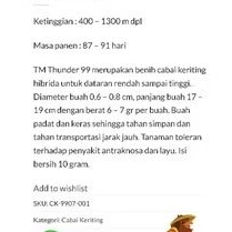 Benih cabe keriting TM THUNDER 99 10 gram cabai hibrida kriting dari tani murni cabe tm thunder 10gr
