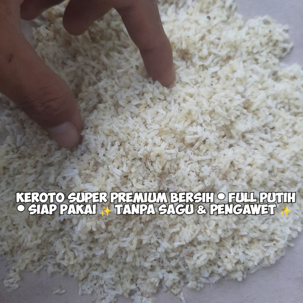 KROTO SUPER BERSIH 50 GRAM TANPA SEMUT | KROTO BADUY SUPER KERING INSTANT