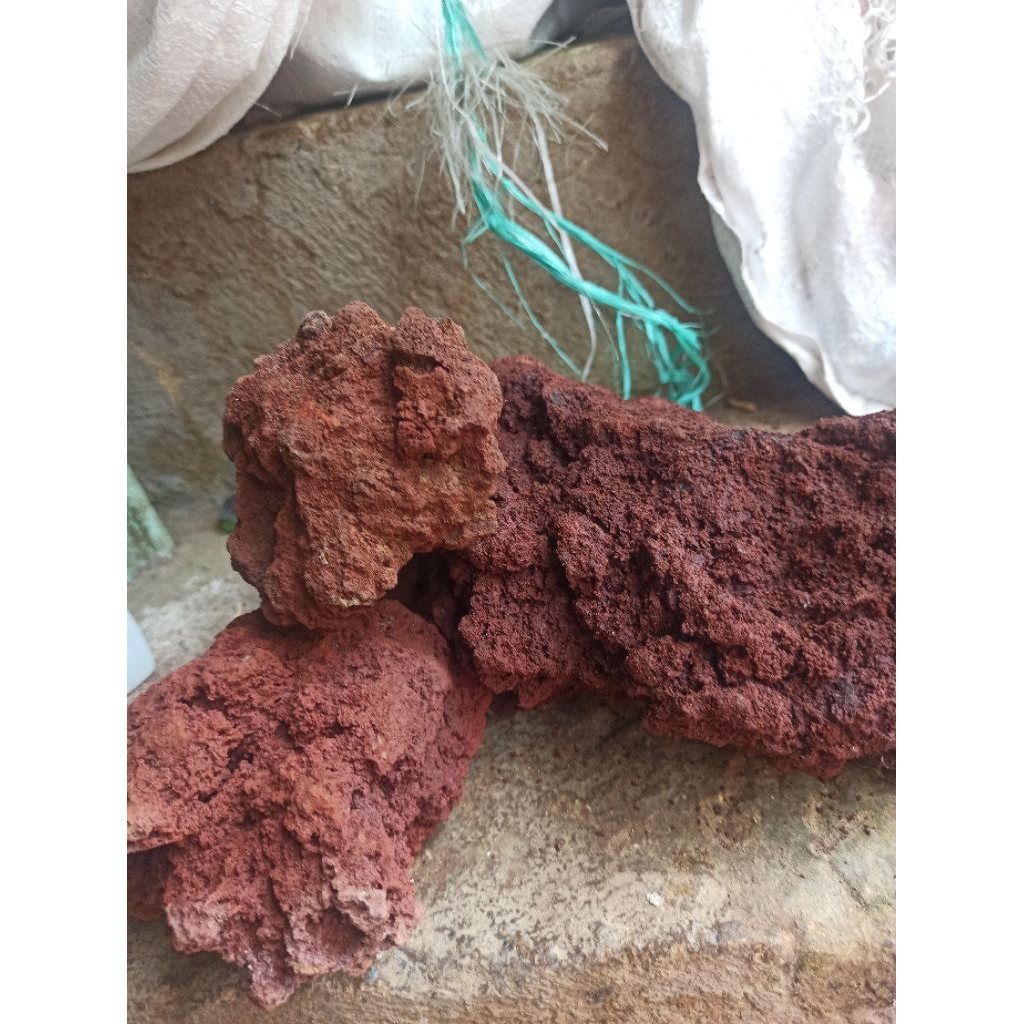 batu lavarock hiasan aquarium paludarium