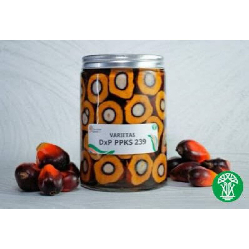 BIBIT UNGGUL PPKS 239 ORIGINAL RESMI SERTIFIKAT