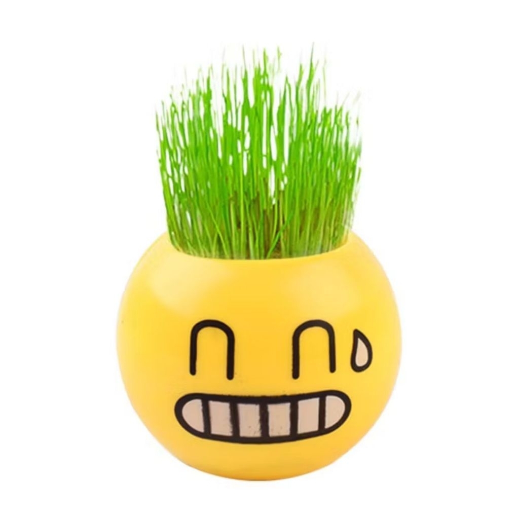 Tanaman Pot mini emoticon lucu - Tanaman horta lucu