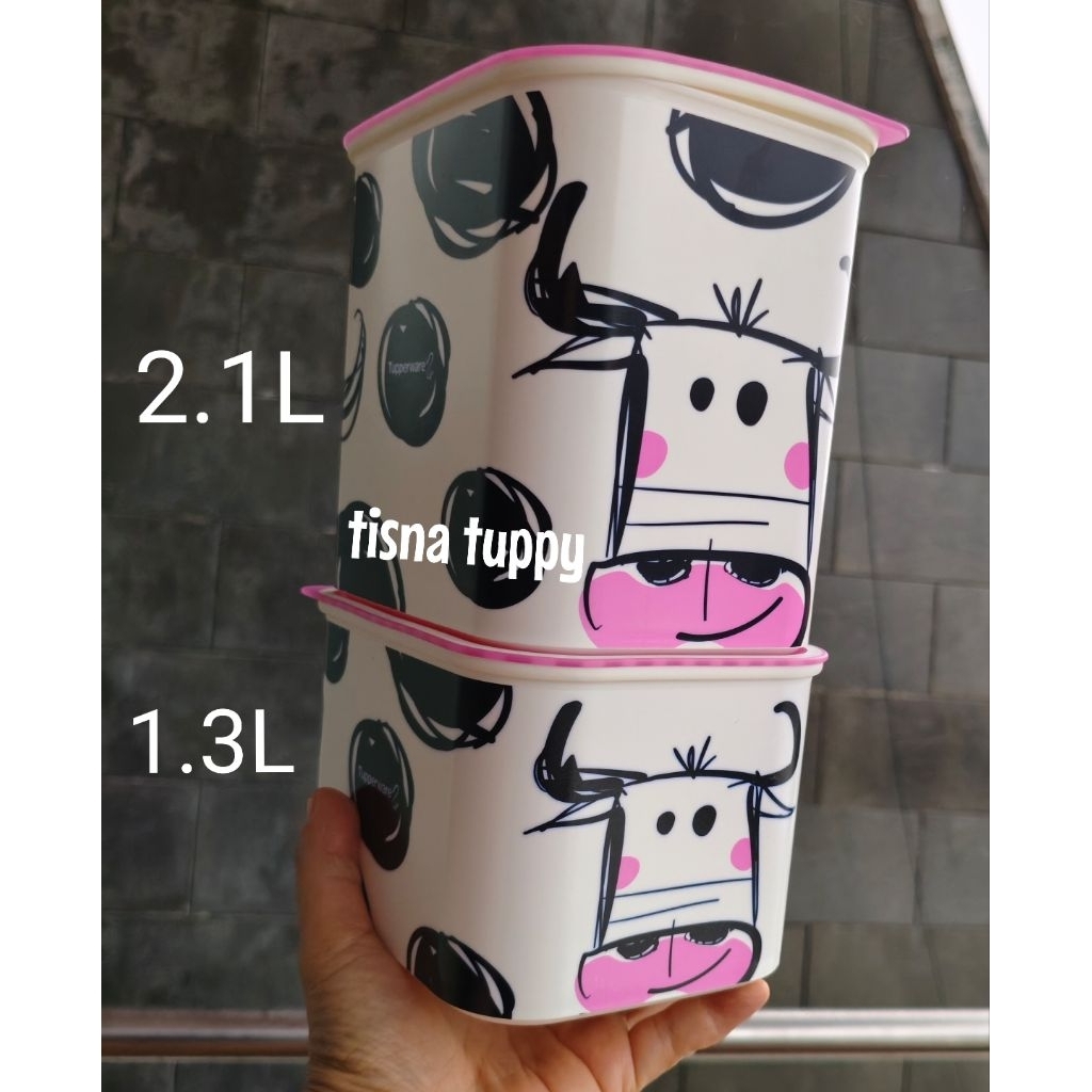 baseline sapi baseline canister tupperware