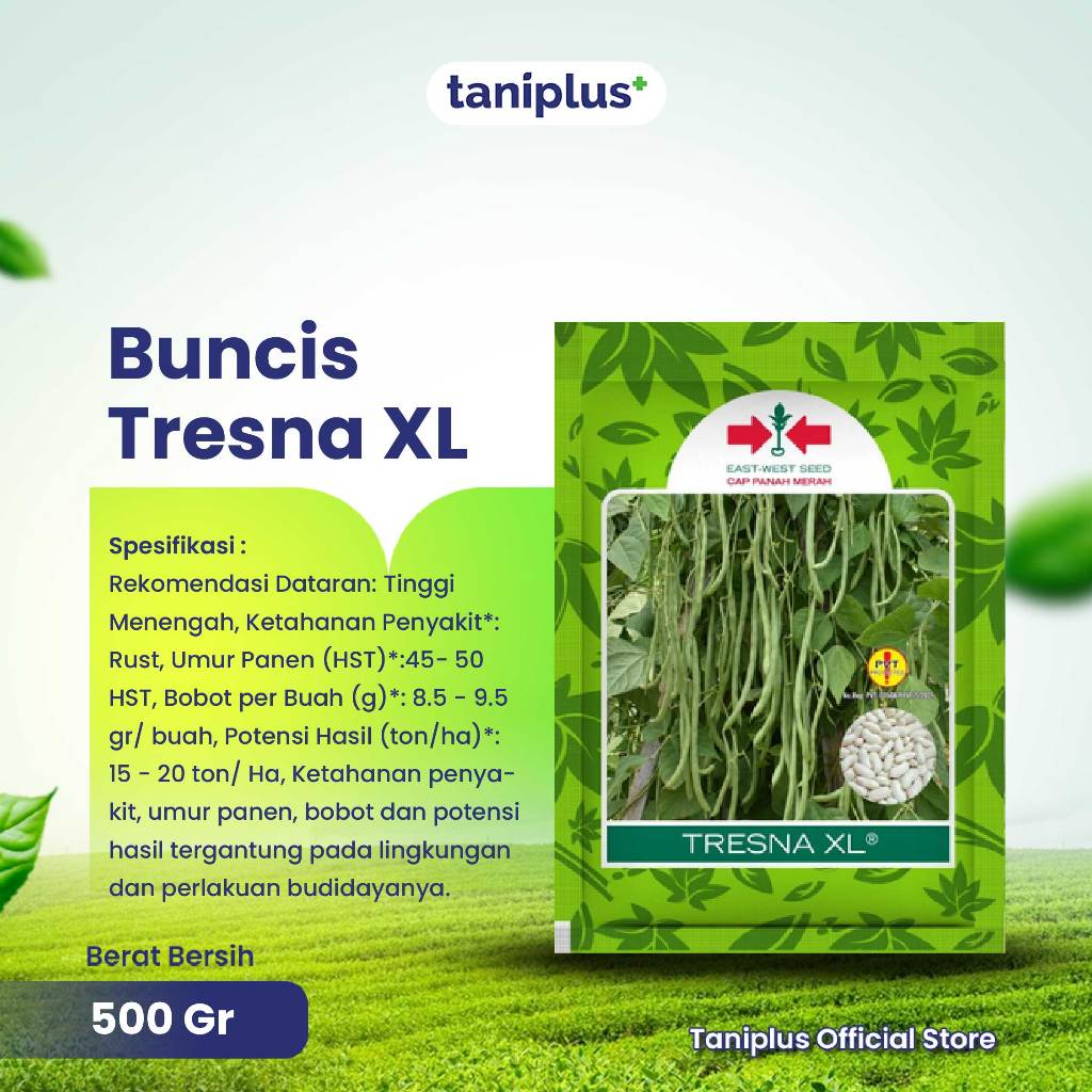 Buncis Tresna XL 500 gr - Benih Hortikultura