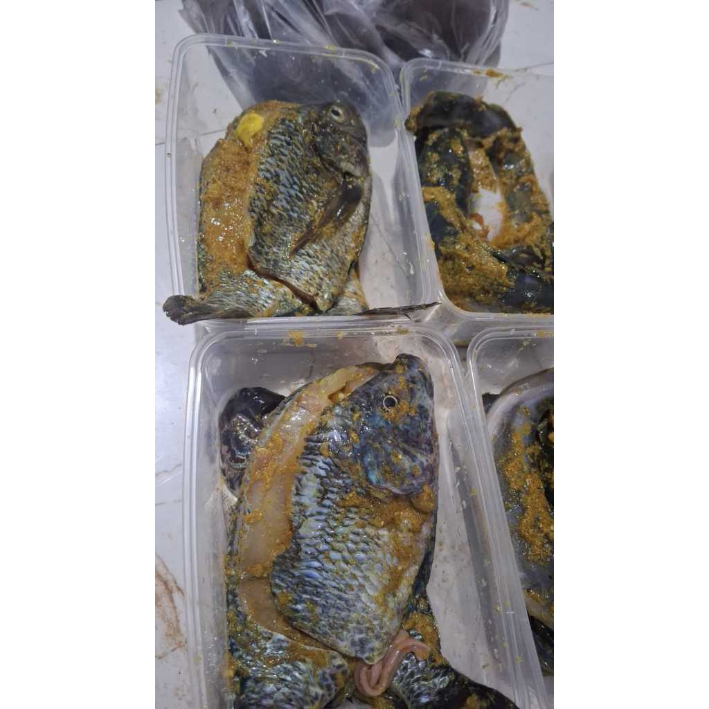 Ikan Mujair Bumbu Kuning Siap Goreng | Frozen Ikan Lauk Siap Saji