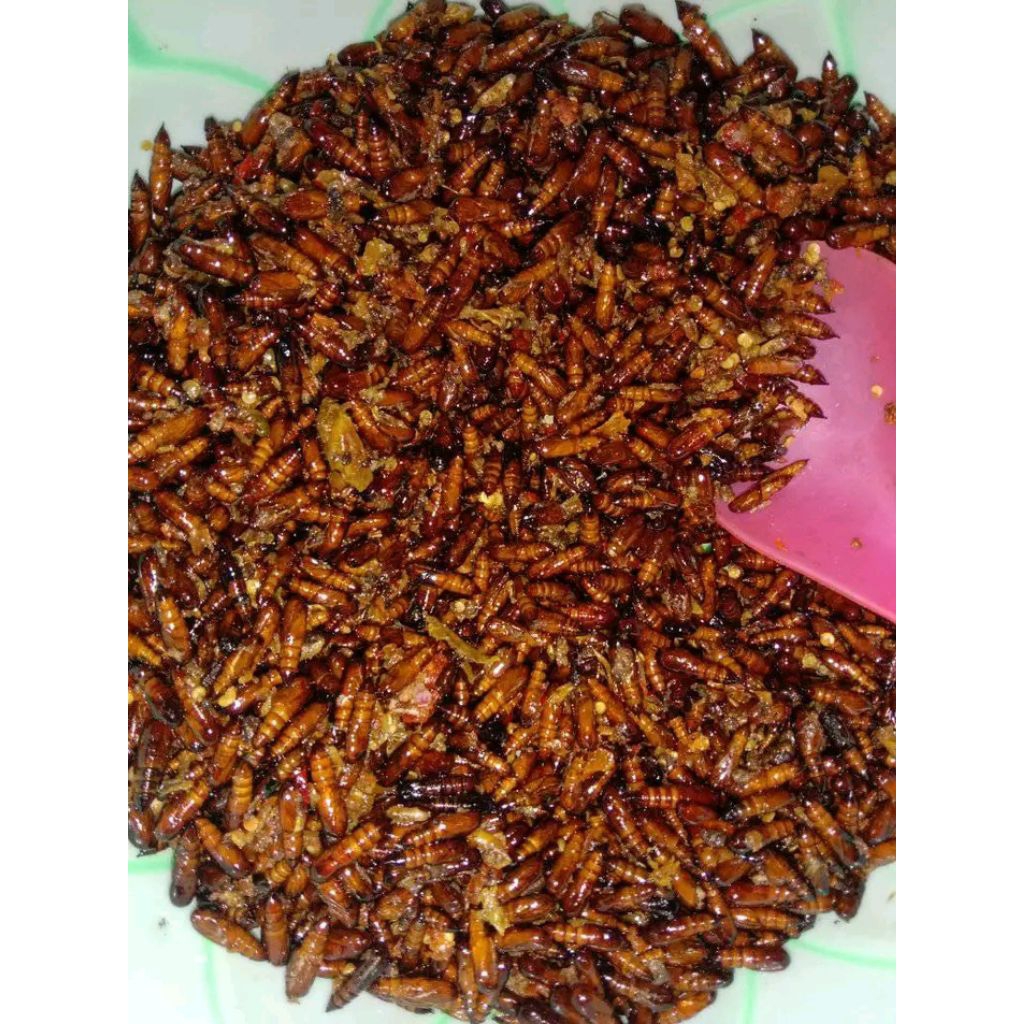 Entung Jati Goreng / Ungker Jati Goreng gurih kemasan toples