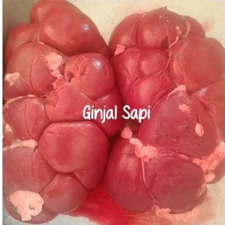 ( FROZEN  ) GINJAL SAPI