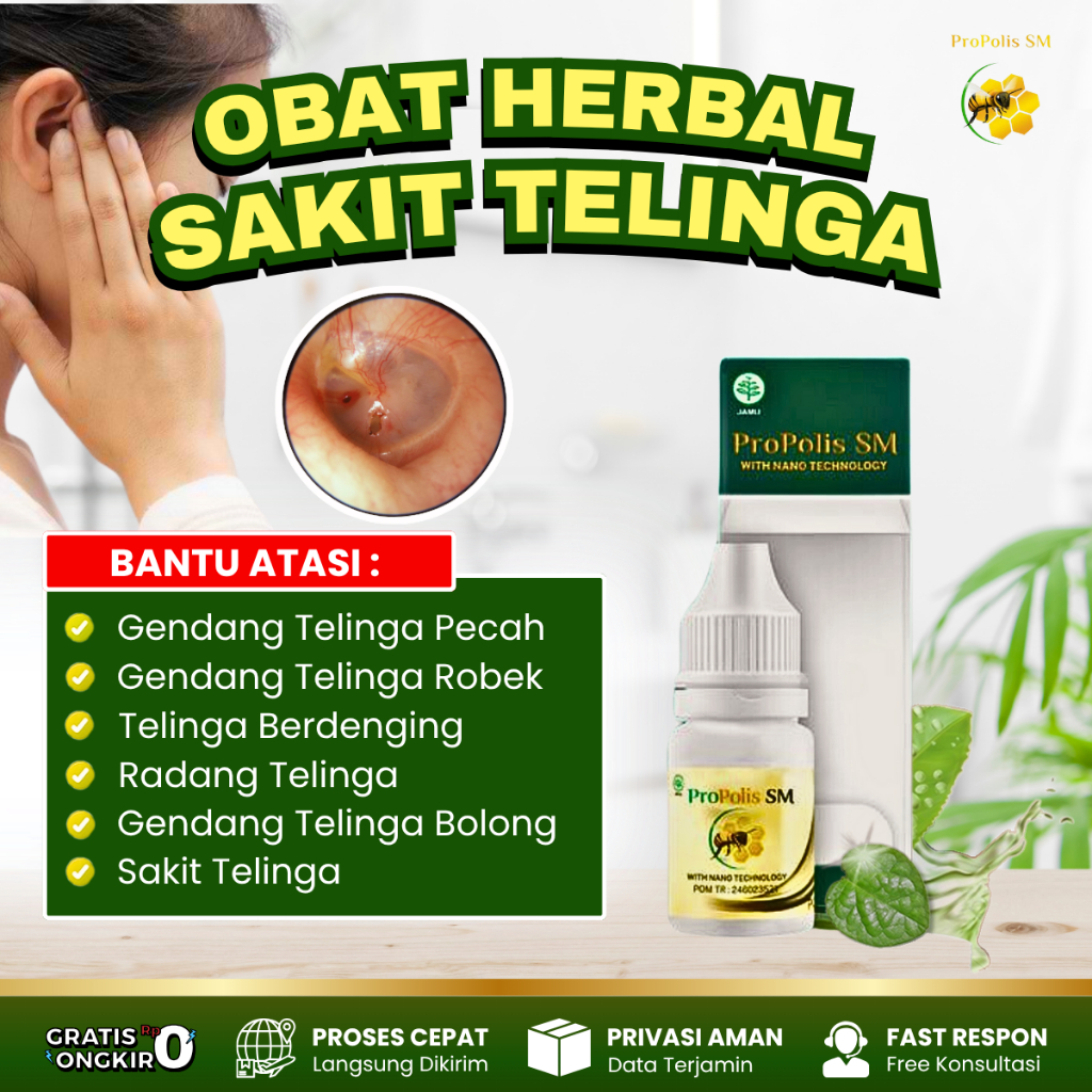 Obat Gendang Telinga Pecah, Gendang Telinga Robek, Gendang Telinga Bolong - Obat Telinga Berdenging 