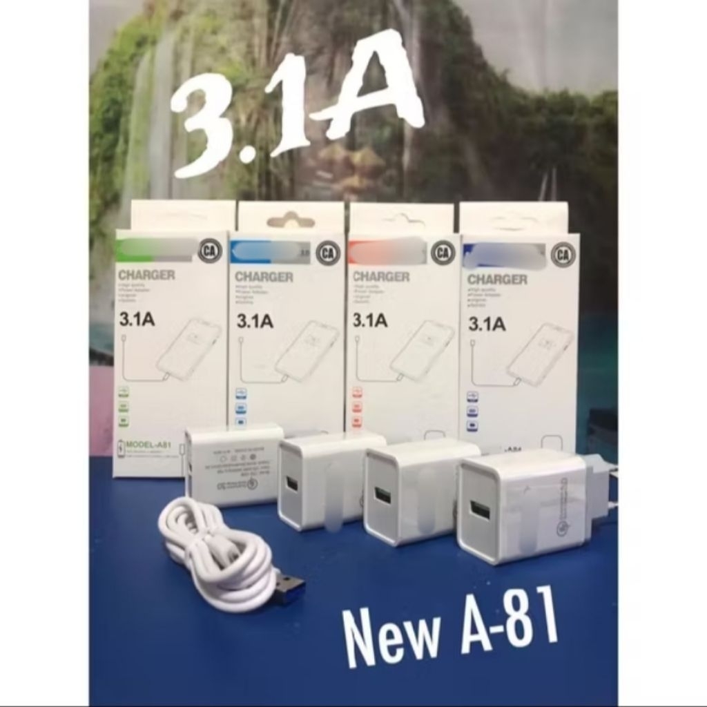 TC travel charger brand A-81 3.1A OPP