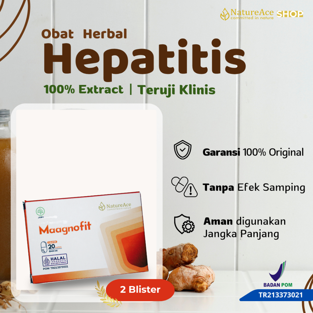 Obat Hepatitis B Liver Sirosis Hati Kuning Herbal Maagnofit