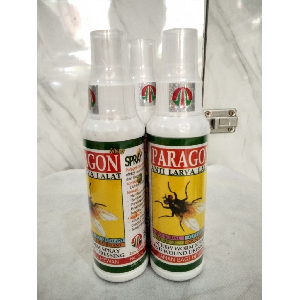 Paragon spray anti larva lalat