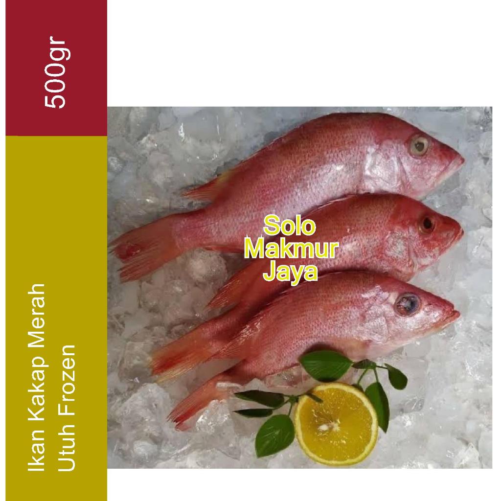 Promo Spesial Ramadhan Ikan Kakap Merah Frozen 1 Kg/Ikan Kakap Merah 1kg isi 2-3 ekor/ Ikan Kakap Me