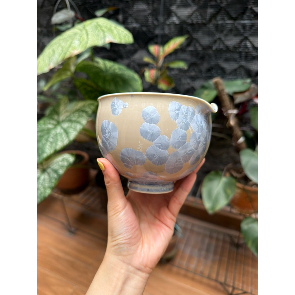 kiwakoto chawan matcha bowl katakuchi from japan new