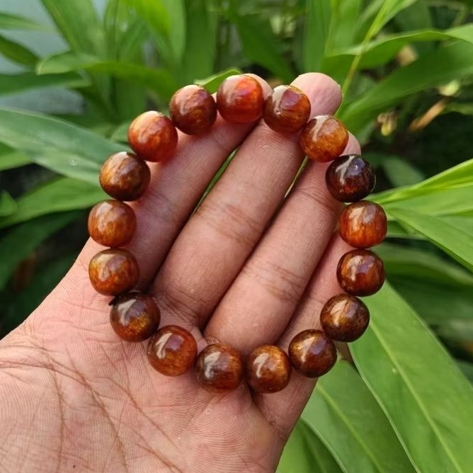 Gelang Akar Bahar Tali Arus Kuning Emas Diameter 12 mm Asli Berkualitas / Akar Bahar Asli