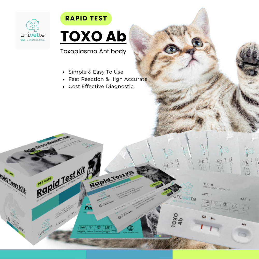 TOXOPLASMA (IgG/IgM) Antibody/TOXO Ab Rapid test kit/Rapid Test Kucing-anjing/Feline Rapid Test Kit/