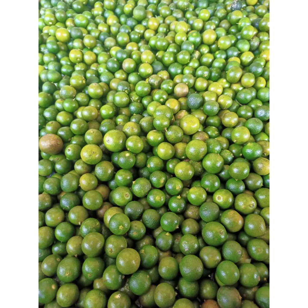 2KG JERUK SONKIT/KASTURI/KUNCI/KALAMANSII/LEMON CUI/LEMON CINA(BACA DESKRIPSI)