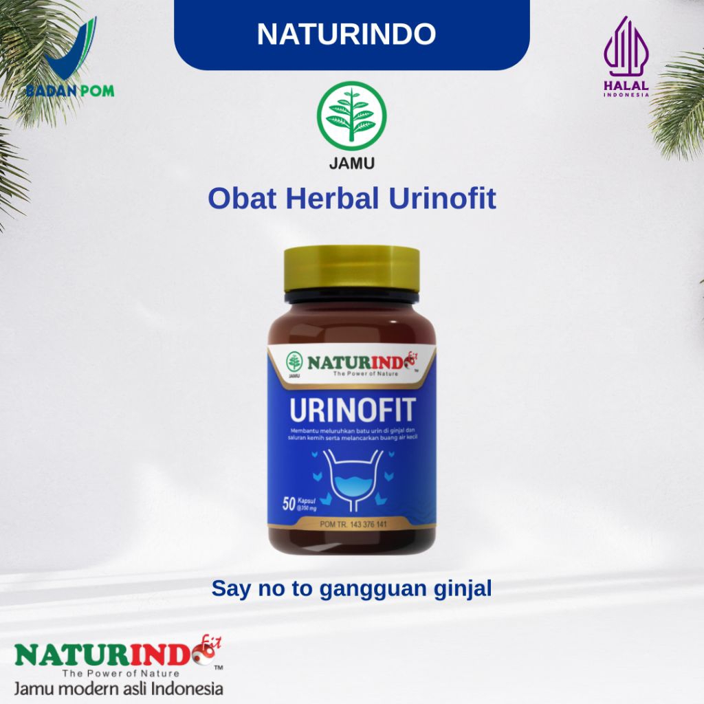 Obat Herbal Urinofit