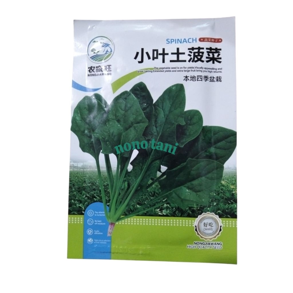 Benih Bayam Jepang cina