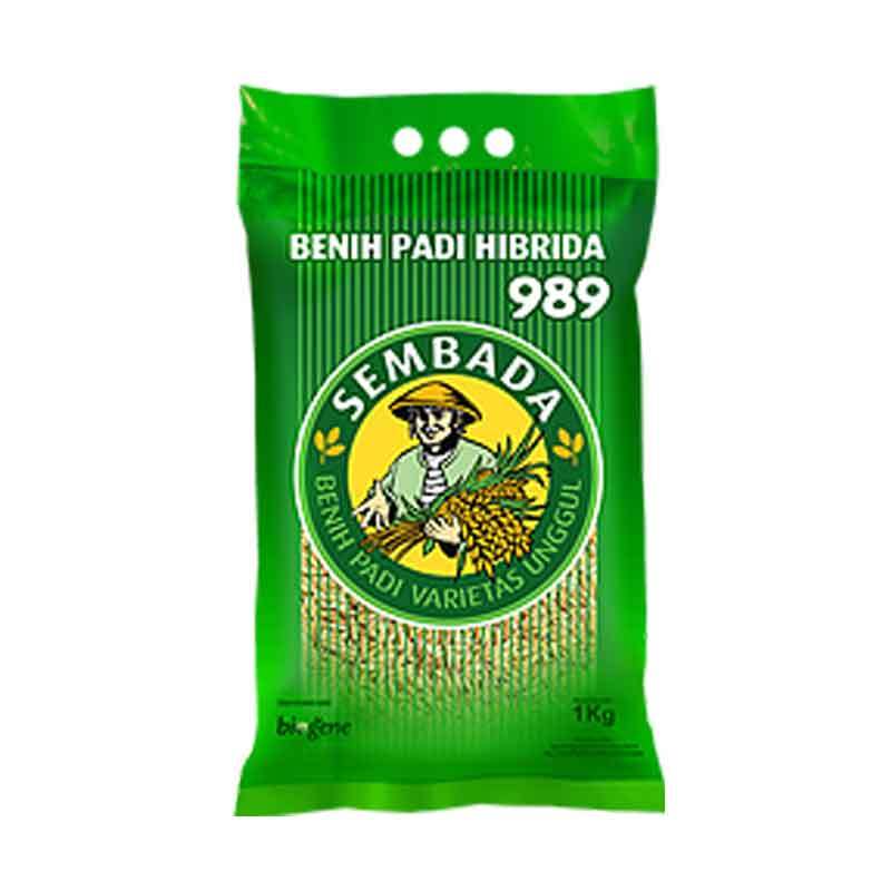 PROMO TERMURAH  Benih padi hibrida Sterling B 88 gold 1 Kg